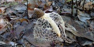 9adbfdbb-ddd0-45dc-9b4a-de393c56d7f3